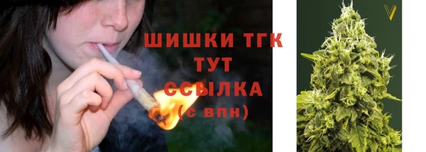 a pvp Новозыбков