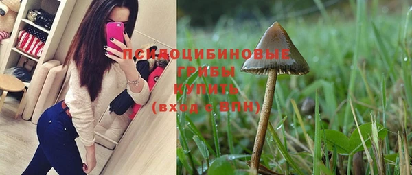 таблы Новокубанск