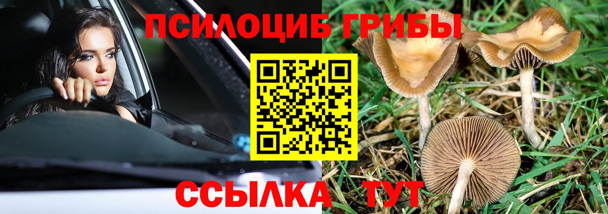 Богородск  Галлюциногенные грибы прущие грибы  Псилоцибиновые грибы мицелий  Вход с VPN 
