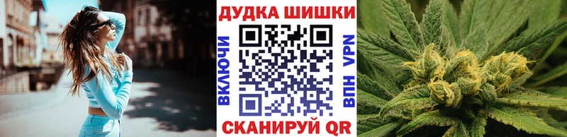 где продают   Богородск  Бошки Шишки ГИДРОПОН 